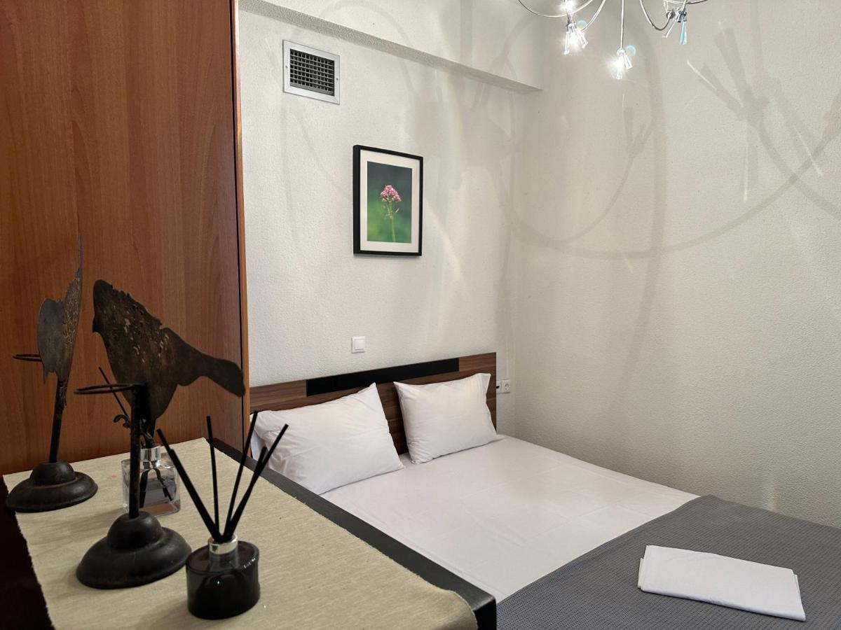 Metochi Agias Kiriakis Escape To Paradise Experience Luxury And Serenity At Villa Elina In Sithonia מראה חיצוני תמונה